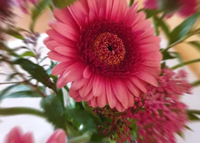 Hanseatic Penzion Brémy